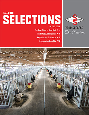 Fall 2018 Selections - Select Sires