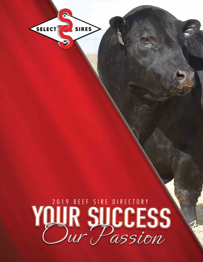 Select Sires: Beef Directory 2019